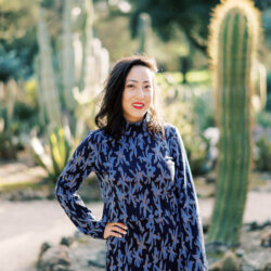 WIPA San Fransisco Bay Area